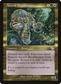 Anurid Brushhopper from Judgment