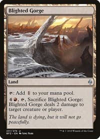 Blighted Gorge from Battle for Zendikar