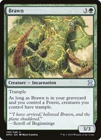 Brawn from Eternal Masters