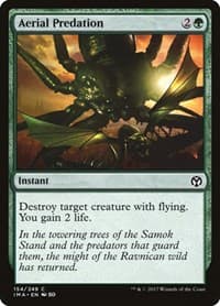 Aerial Predation from Iconic Masters