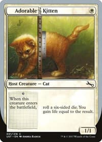 Adorable Kitten from Unstable