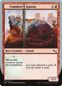 Common Iguana from Unstable