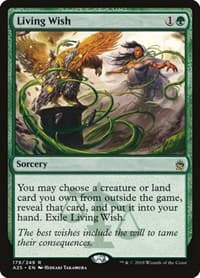 Living Wish from Masters 25
