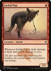 Jackal Pup from Masters 25
