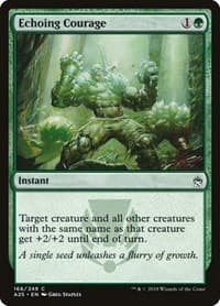Echoing Courage from Masters 25