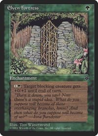 Elven Fortress (Wanerstrand) from Fallen Empires