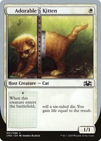 Adorable Kitten from Unsanctioned