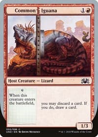 Common Iguana from Unsanctioned