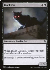 Black Cat from Jumpstart