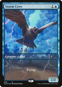 Storm Crow from Secret Lair Drop Series