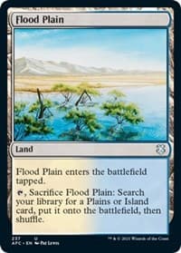 Flood Plain from Commander: Adventures in the Forgotten Realms