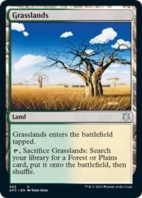 Grasslands from Commander: Adventures in the Forgotten Realms