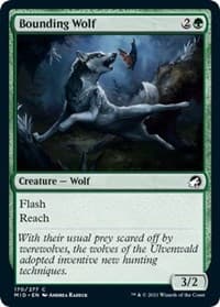 Bounding Wolf from Innistrad: Midnight Hunt