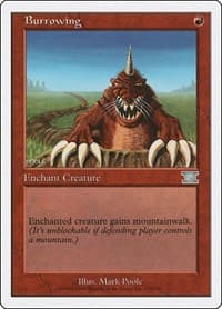 Burrowing from Classic Sixth Edition