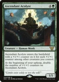 Ascendant Acolyte from Commander: Kamigawa: Neon Dynasty