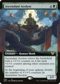 Ascendant Acolyte (Extended Art) from Commander: Kamigawa: Neon Dynasty