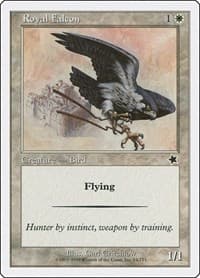 Royal Falcon from Starter 1999