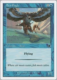 Sea Eagle from Starter 1999
