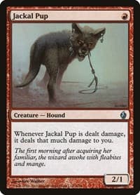 Jackal Pup from Premium Deck Series: Fire and Lightning