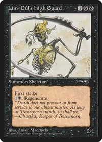 Lim-Dul's High Guard from Alliances