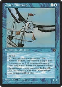 Giant Albatross from Homelands