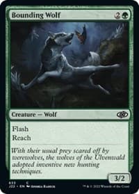 Bounding Wolf from Jumpstart 2022