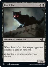 Black Cat from Jumpstart 2022