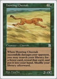 Hunting Cheetah from Portal Three Kingdoms