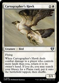 Cartographer's Hawk from Commander Masters