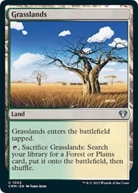 Grasslands from Commander Masters