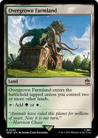 Overgrown Farmland from Universes Beyond: Doctor Who