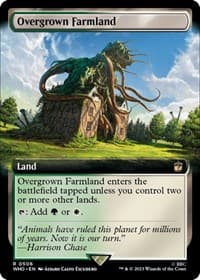 Overgrown Farmland (Extended Art) from Universes Beyond: Doctor Who