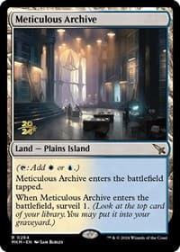 Meticulous Archive from Prerelease Cards