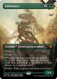 Endurance (Borderless) from Special Guests