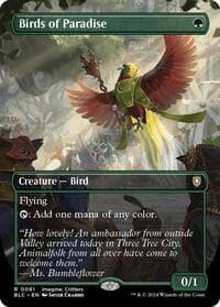 Birds of Paradise (Borderless) from Commander: Bloomburrow