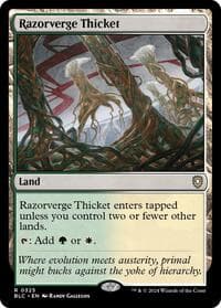 Razorverge Thicket from Commander: Bloomburrow