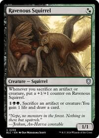 Ravenous Squirrel from Commander: Bloomburrow