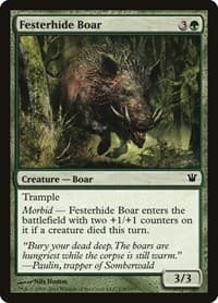 Festerhide Boar from Innistrad