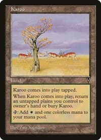 Karoo from Visions