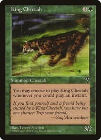 King Cheetah from Visions