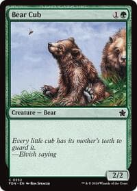 Bear Cub from Foundations