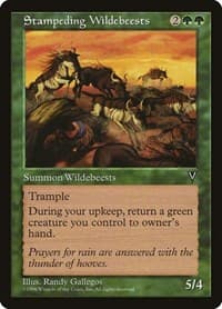 Stampeding Wildebeests from Visions