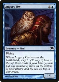 Augury Owl from Planechase 2012