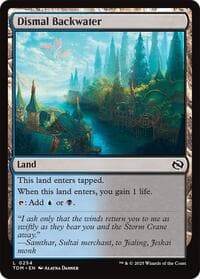 Dismal Backwater from Tarkir: Dragonstorm