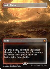 Arid Mesa (Borderless) (Dragonscale Foil) from Special Guests