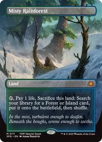 Misty Rainforest (Borderless) from Special Guests