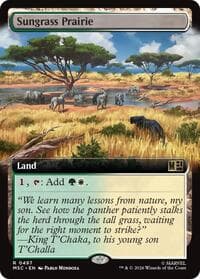 Sungrass Prairie (Extended Art) from Commander: Marvel Super Heroes