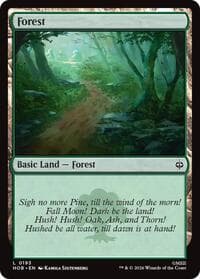 Forest (0193) from The Hobbit