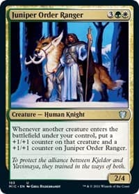 Juniper Order Ranger from Commander: Innistrad: Midnight Hunt