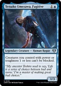 Tetsuko Umezawa, Fugitive from Commander Masters